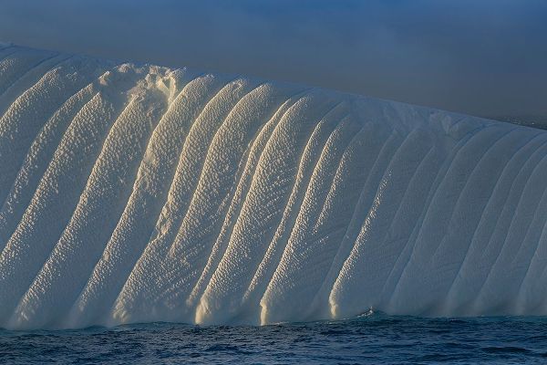 Antarctica-South Georgia Island-Coopers Bay Iceberg at sunrise